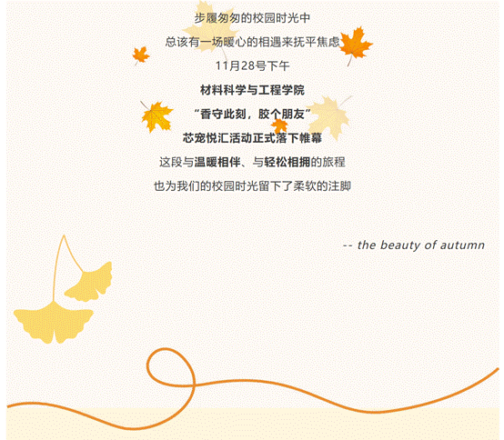 屏幕截图 2025-12-04 162316