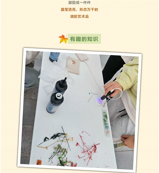 屏幕截图 2025-12-04 162932