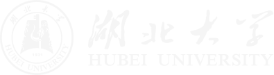湖大视觉